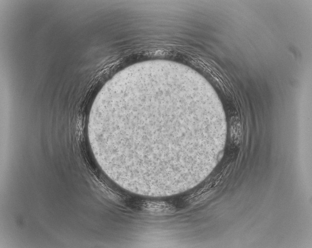 X0000115340605200912141241