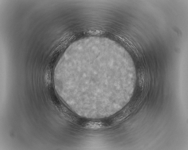 X0000115340606200912141241