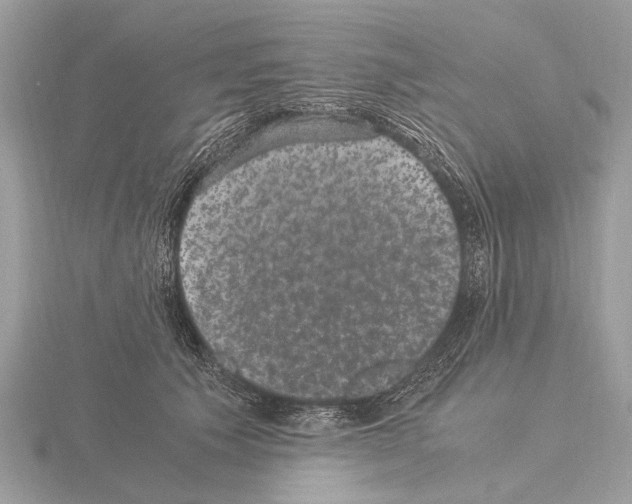 X0000115340609200912141241