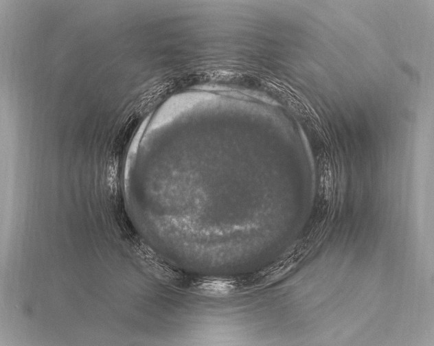 X0000115340610200912141241