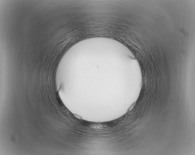 X0000115340611200912141241