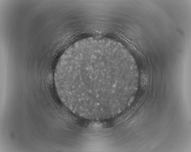 X0000115340613200912141241