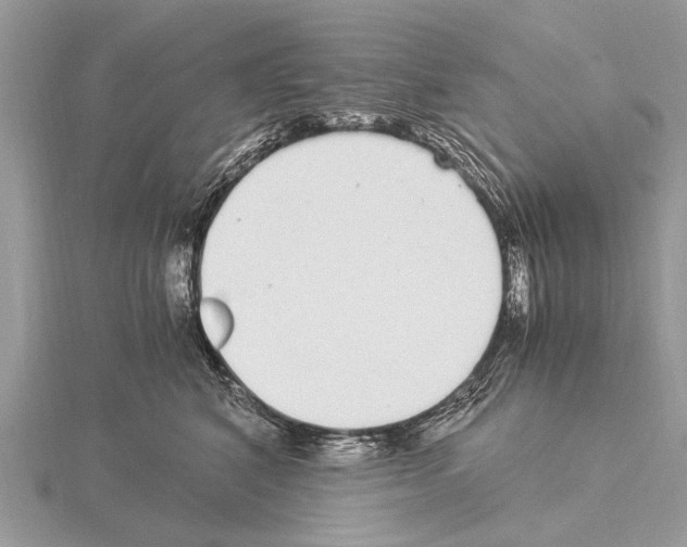 X0000115340616200912141241