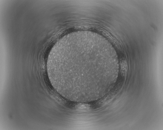 X0000115340617200912141241