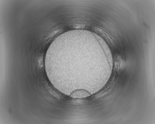 X0000115340620200912141240