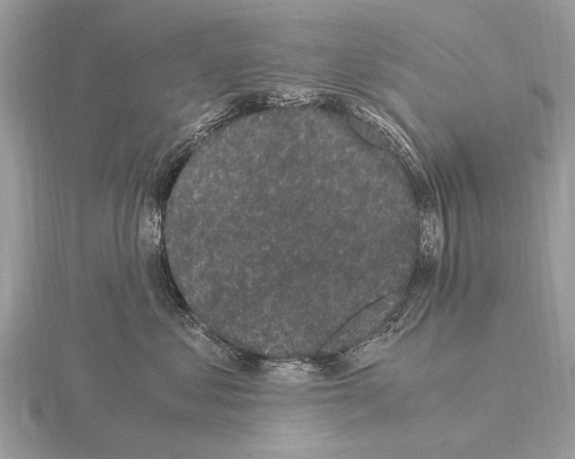 X0000115340621200912141240