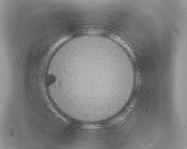 X0000115340625200912141240