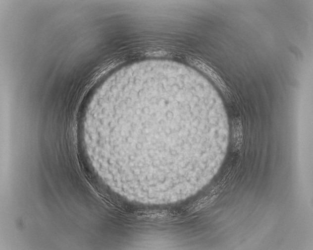 X0000115340626200912141240