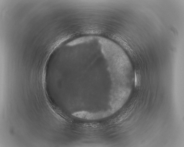 X0000115340627200912141240