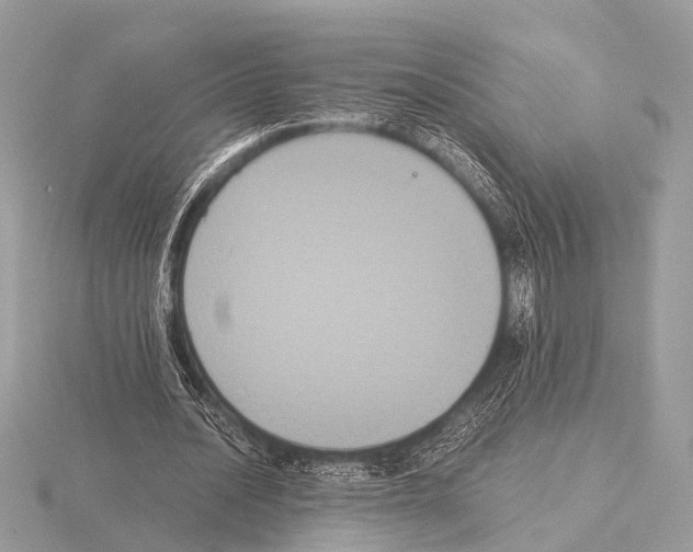 X0000115340628200912141240