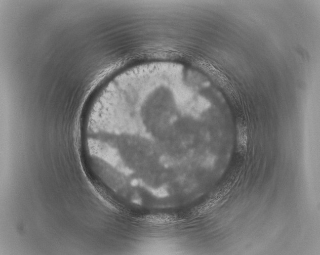 X0000115340630200912141240