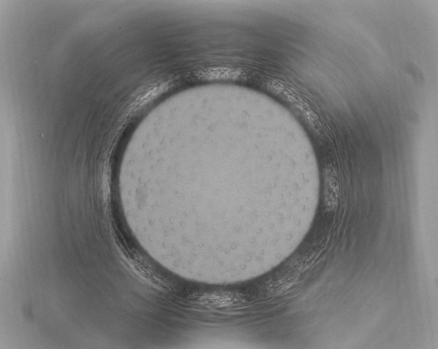 X0000115340631200912141240