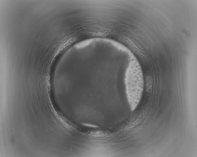 X0000115340634200912141240