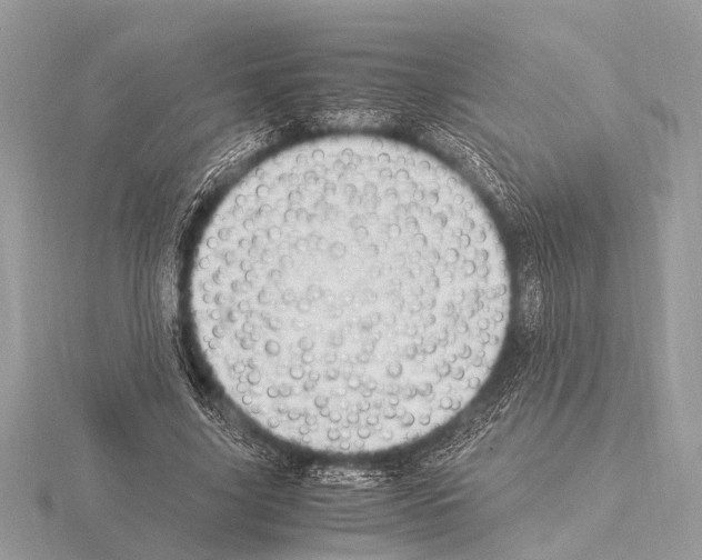 X0000115340635200912141240