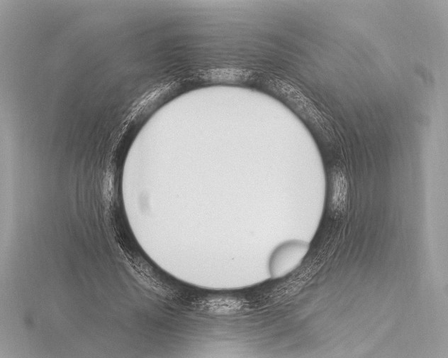 X0000115340636200912141240