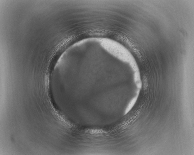 X0000115340637200912141240