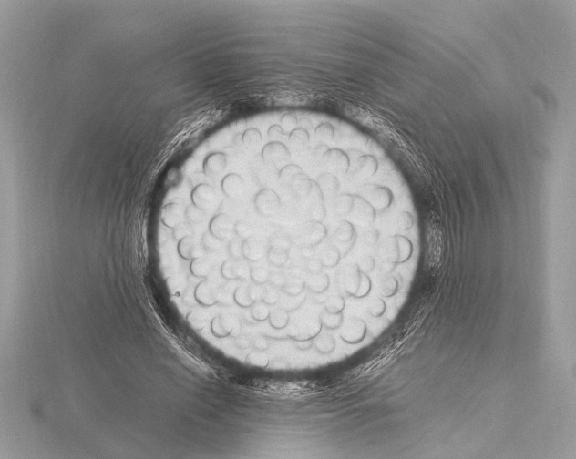 X0000115340638200912141240