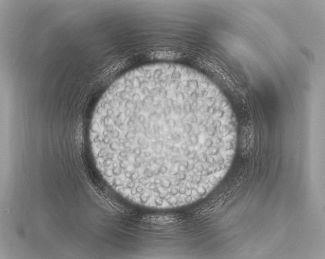 X0000115340639200912141240