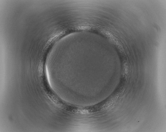 X0000115340640200912141240