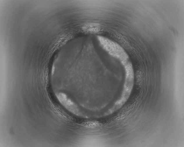 X0000115340642200912141240