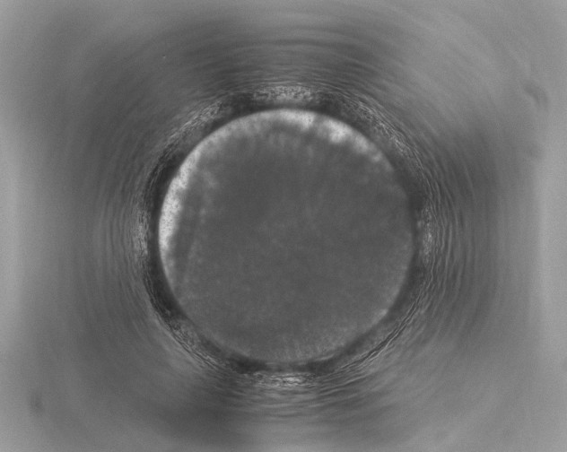 X0000115340643200912141240