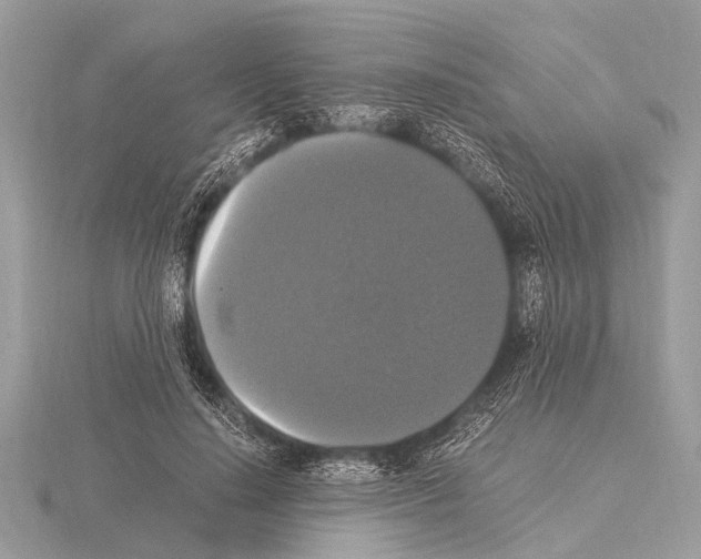 X0000115340644200912141240