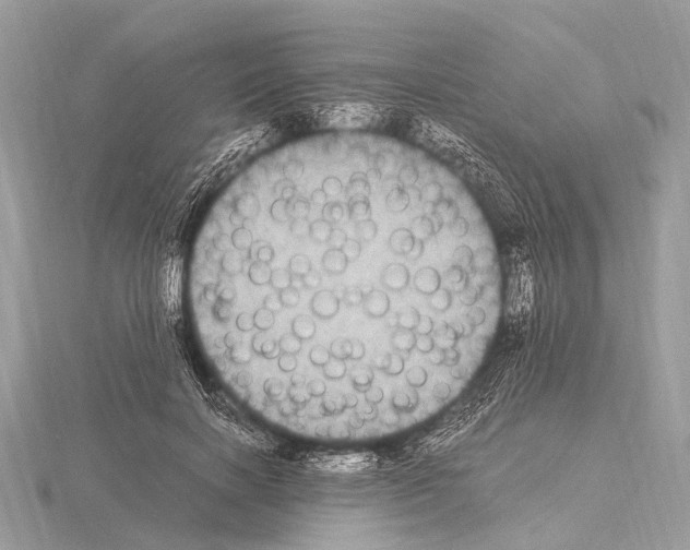 X0000115340646200912141240