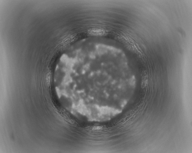 X0000115340647200912141240