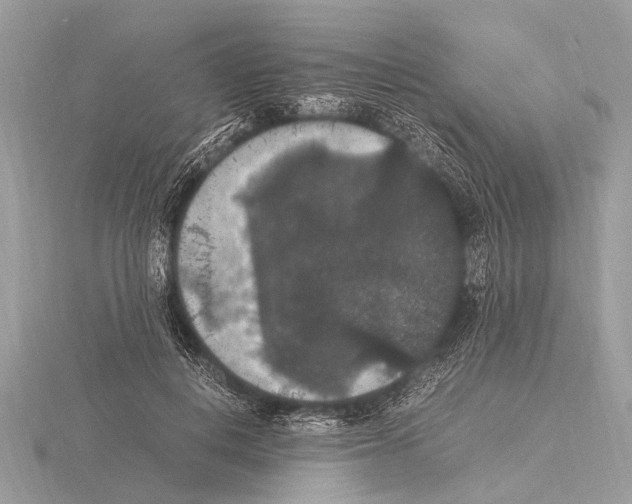 X0000115340648200912141240