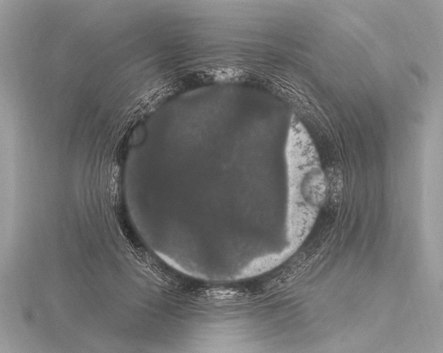 X0000115340650200912141240