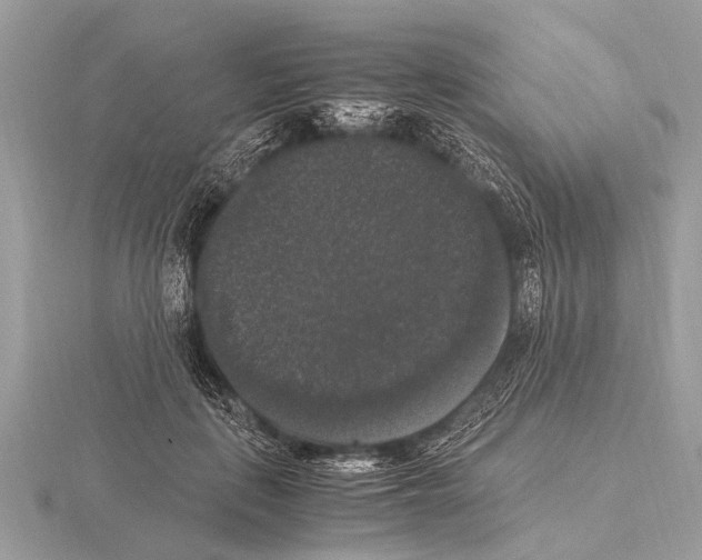 X0000115340651200912141240