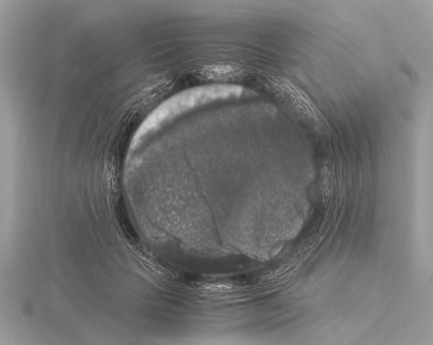 X0000115340653200912141240