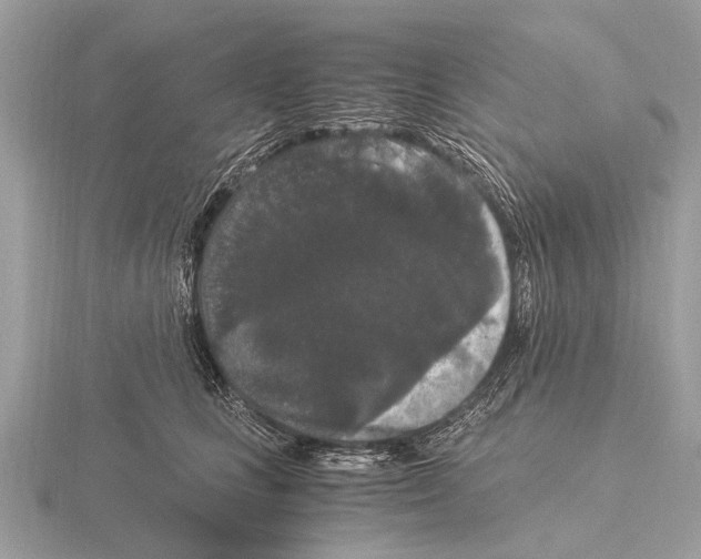 X0000115340661200912141240