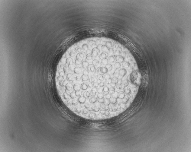 X0000115340662200912141240