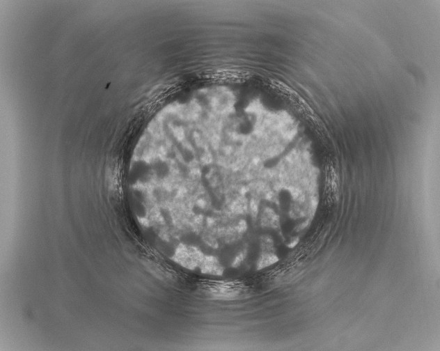 X0000115340663200912141240