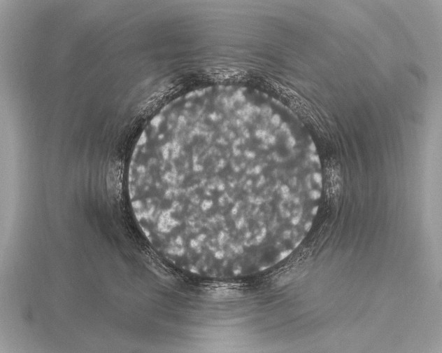 X0000115340664200912141240