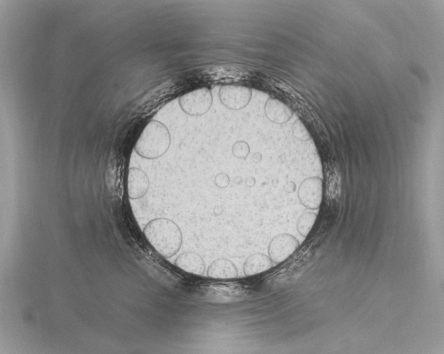 X0000115340666200912141240