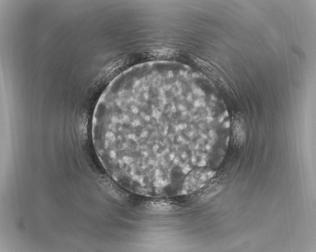 X0000115340668200912141240