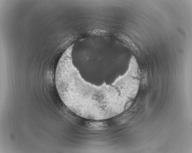 X0000115340669200912141240