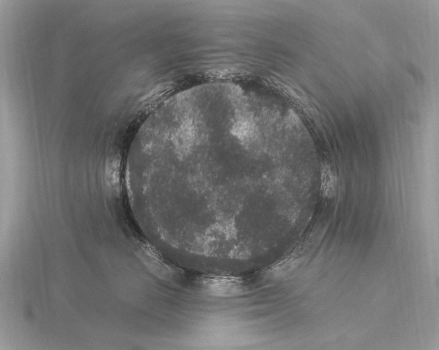 X0000115340670200912141240