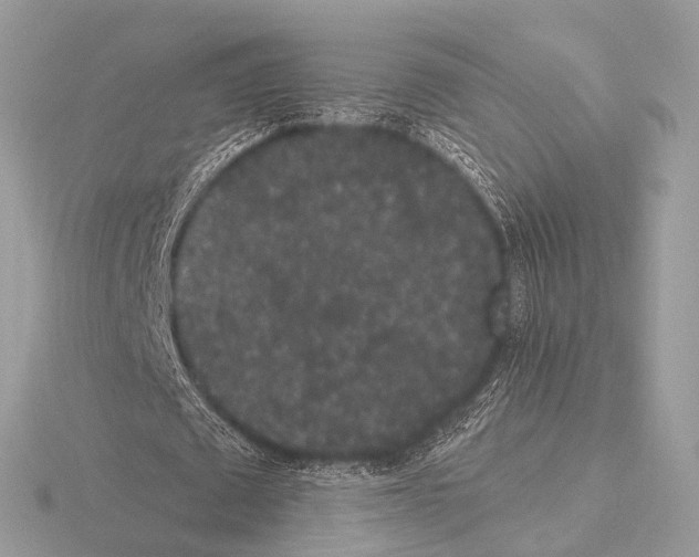 X0000115340673200912141240