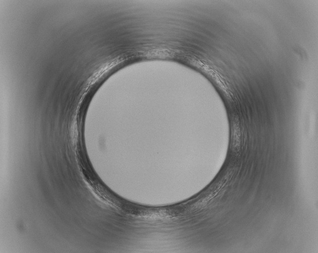 X0000115340674200912141240