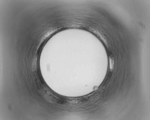 X0000115340675200912141240