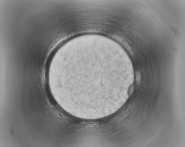 X0000115340676200912141240