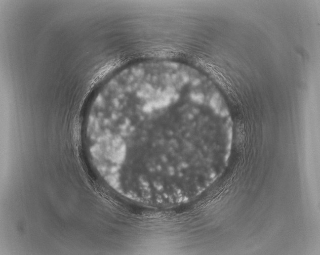 X0000115340679200912141240