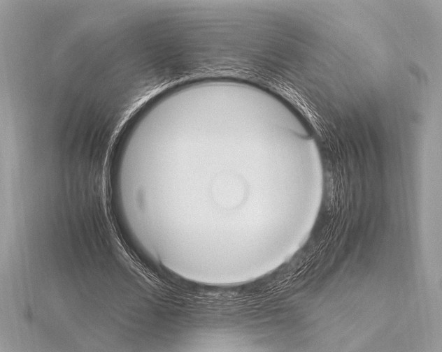 X0000115340680200912141240