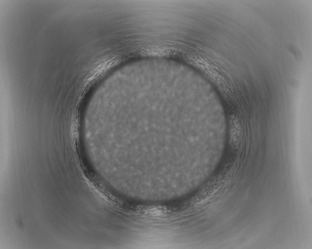 X0000115340683200912141240