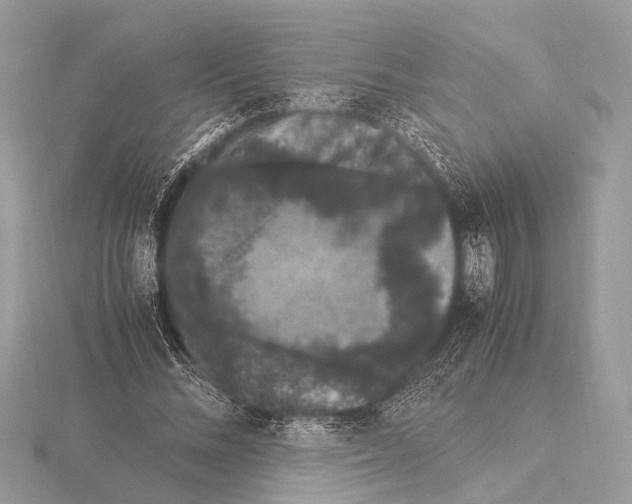 X0000115340684200912141240