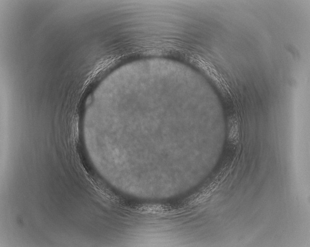 X0000115340685200912141240