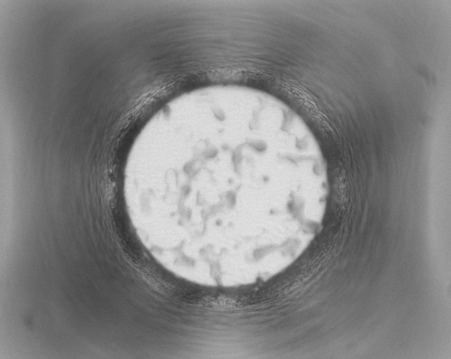 X0000115340687200912141240